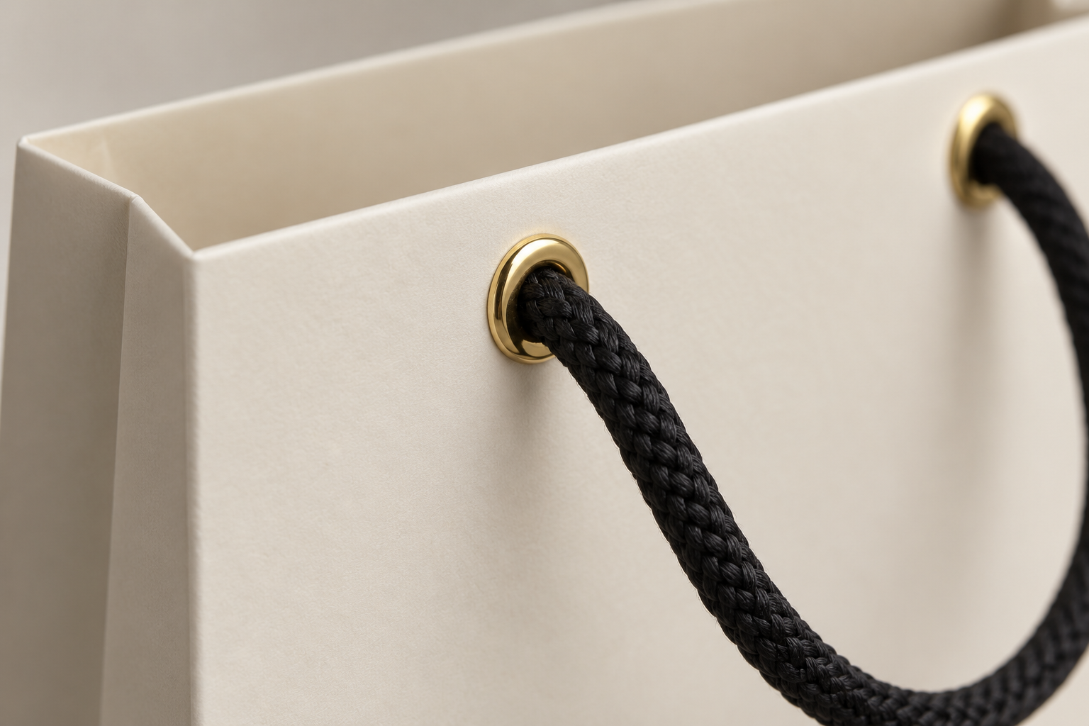 codex clipboard 17f3843a 6fd5 400d 8acc ceb3de03470f